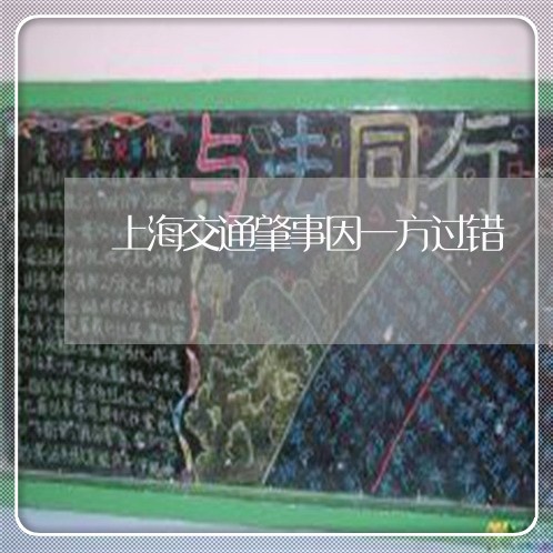 上海交通肇事因一方过错/2023022816041