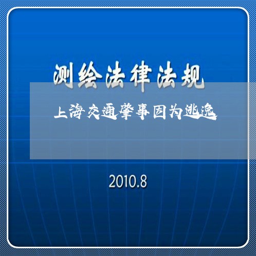 上海交通肇事因为逃逸/2023021250494 上海交通肇事因为逃逸/2023021250494