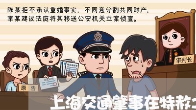 上海交通肇事在特赦之内吗/2023033152836