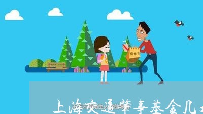 上海交通肇事基金几天拨款/2023031851503