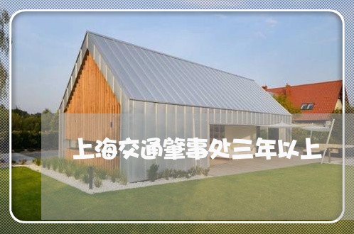 上海交通肇事处三年以上/2023022850492 上海交通肇事处三年以上/2023022850492