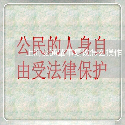 上海交通肇事复议怎么操作/2023031872715