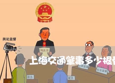 上海交通肇事多少根骨折定残/2023033183716 上海交通肇事多少根骨折定残/2023033183716