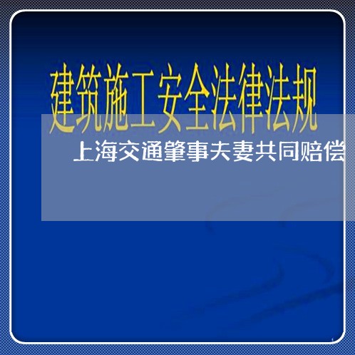 上海交通肇事夫妻共同赔偿/2023031852593