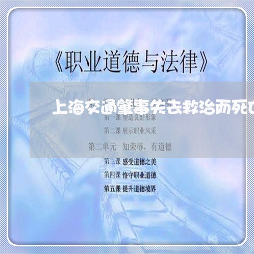 上海交通肇事失去救治而死亡/2023033195138 上海交通肇事失去救治而死亡/2023033195138