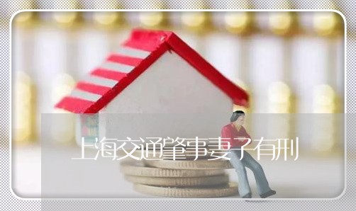 上海交通肇事妻子有刑/2023021260693
