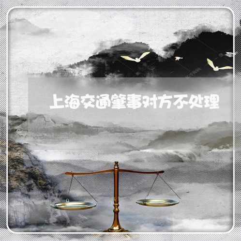 上海交通肇事对方不处理/2023022881625