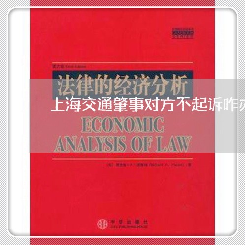 上海交通肇事对方不起诉咋办/2023033196917
