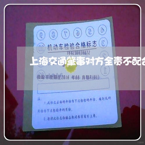 上海交通肇事对方全责不配合/2023033140571