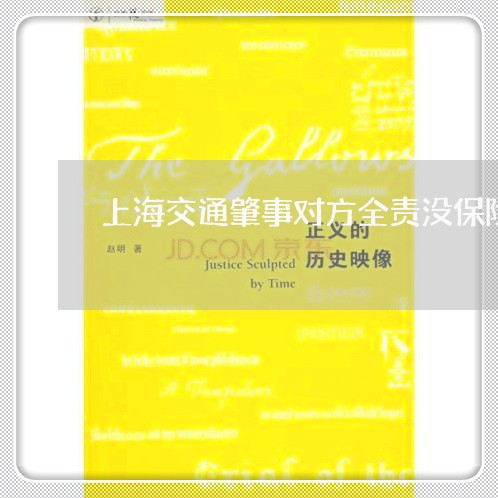 上海交通肇事对方全责没保险/2023033117382