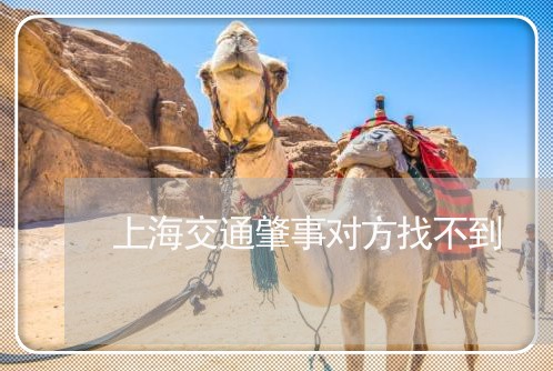 上海交通肇事对方找不到/2023022853038 上海交通肇事对方找不到/2023022853038