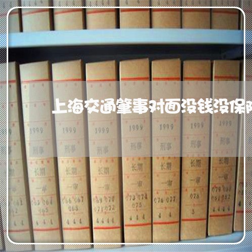 上海交通肇事对面没钱没保险/2023033176048 上海交通肇事对面没钱没保险/2023033176048