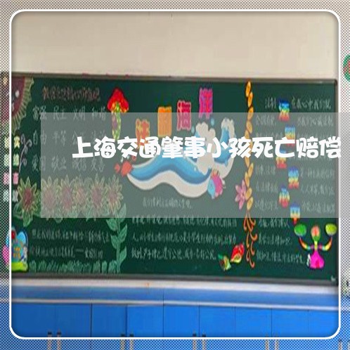 上海交通肇事小孩死亡赔偿/2023031826836
