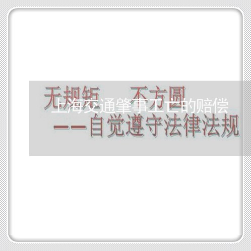 上海交通肇事工亡的赔偿/2023022806848