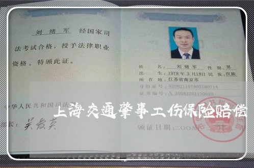 上海交通肇事工伤保险赔偿/2023031805938