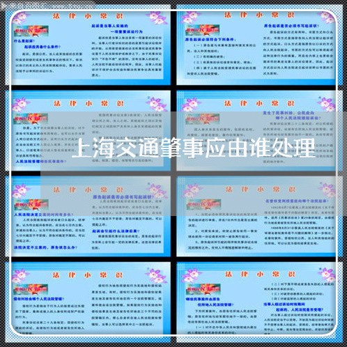 上海交通肇事应由谁处理/2023022862716