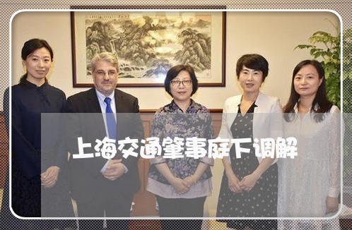 上海交通肇事庭下调解/2023021236058