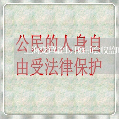 上海交通肇事开庭前会收监吗/2023033173925