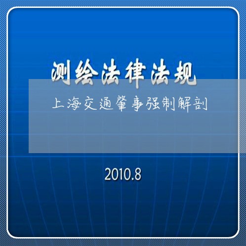 上海交通肇事强制解剖/2023021271504
