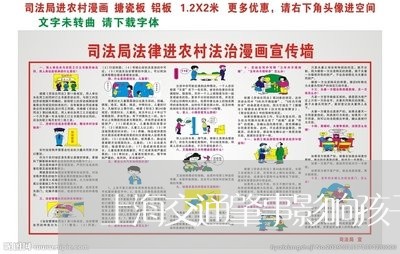 上海交通肇事影响孩子政审吗/2023033128958