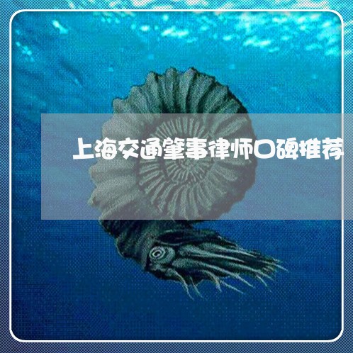 上海交通肇事律师口碑推荐/2023033140714