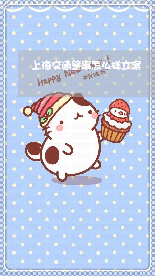 上海交通肇事怎么样立案/2023022848179