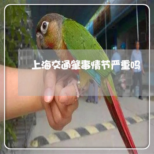 上海交通肇事情节严重吗/2023022836290