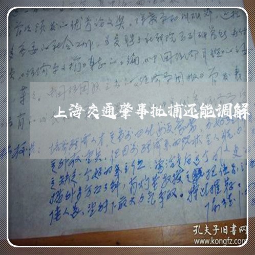 上海交通肇事批捕还能调解/2023031862613