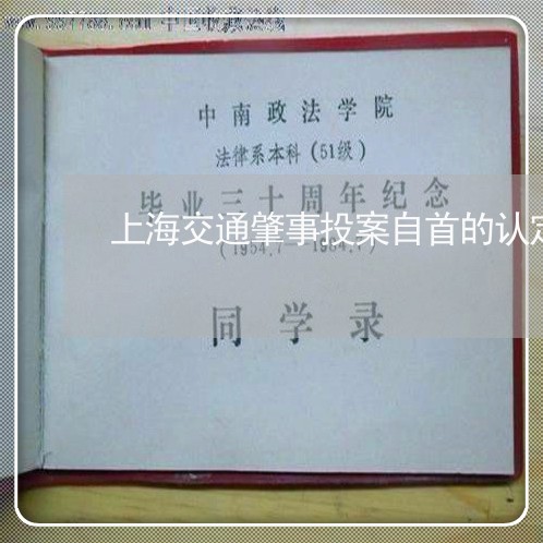 上海交通肇事投案自首的认定/2023033118271 上海交通肇事投案自首的认定/2023033118271