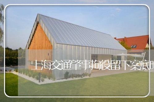 上海交通肇事拘役留下案底吗/2023040104704 上海交通肇事拘役留下案底吗/2023040104704