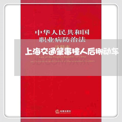 上海交通肇事撞人后挪动车/2023031851503 上海交通肇事撞人后挪动车/2023031851503