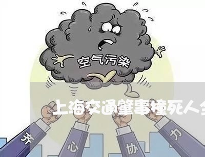 上海交通肇事撞死人全责/2023022817178 上海交通肇事撞死人全责/2023022817178