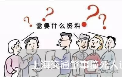 上海交通肇事撞死人逃跑赔偿/2023040106251