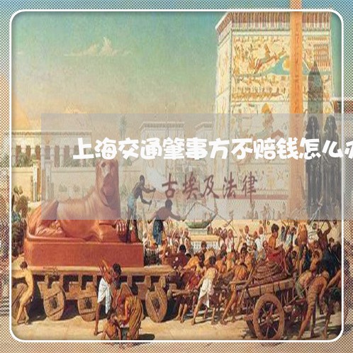 上海交通肇事方不赔钱怎么办/2023040153584 上海交通肇事方不赔钱怎么办/2023040153584