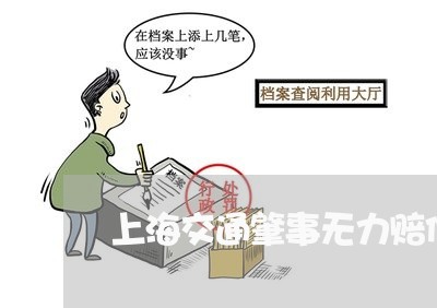 上海交通肇事无力赔偿的情形/2023040128279 上海交通肇事无力赔偿的情形/2023040128279