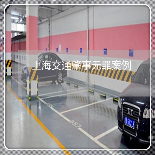 上海交通肇事无罪案例/2023021206059 上海交通肇事无罪案例/2023021206059