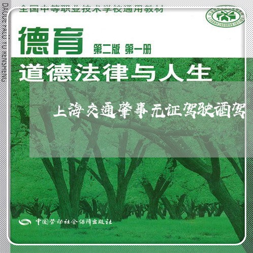 上海交通肇事无证驾驶酒驾/2023031893794 上海交通肇事无证驾驶酒驾/2023031893794