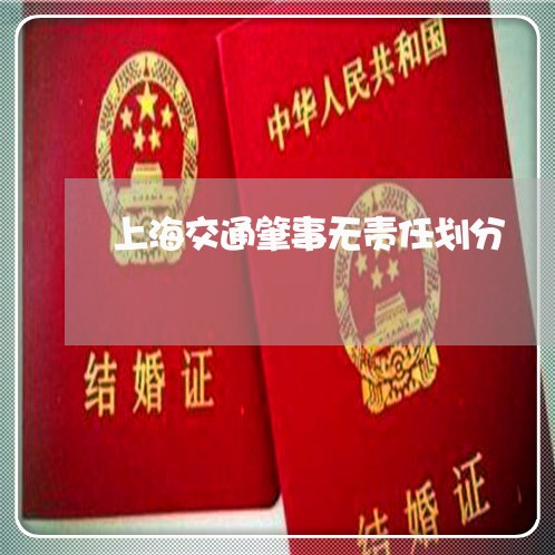 上海交通肇事无责任划分/2023022826937