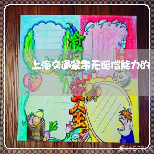 上海交通肇事无赔偿能力的/2023031849492 上海交通肇事无赔偿能力的/2023031849492