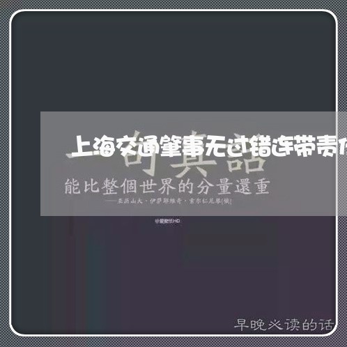 上海交通肇事无过错连带责任/2023040109482 上海交通肇事无过错连带责任/2023040109482