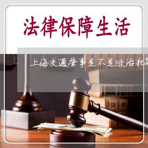 上海交通肇事是不是政治犯罪/2023040176958 上海交通肇事是不是政治犯罪/2023040176958