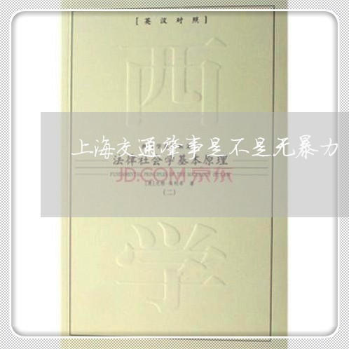 上海交通肇事是不是无暴力/2023033148262 上海交通肇事是不是无暴力/2023033148262