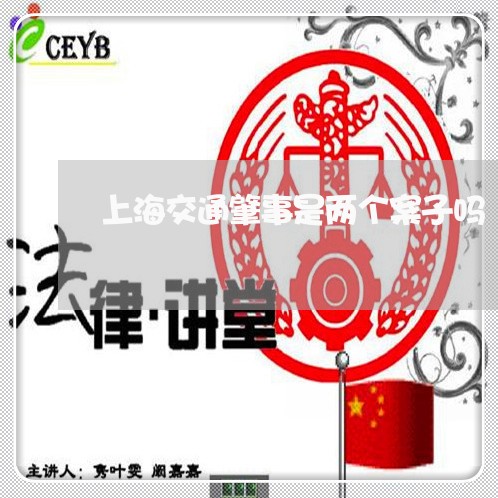 上海交通肇事是两个案子吗/2023031835048 上海交通肇事是两个案子吗/2023031835048