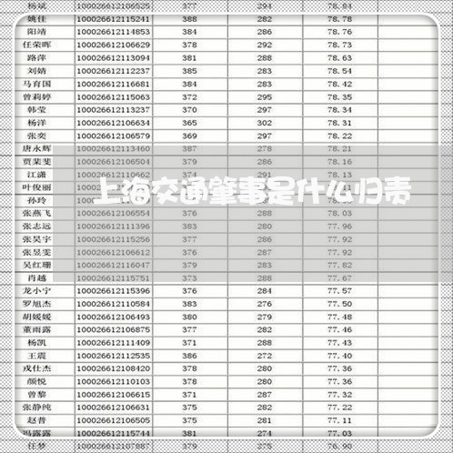 上海交通肇事是什么归责/2023042206036