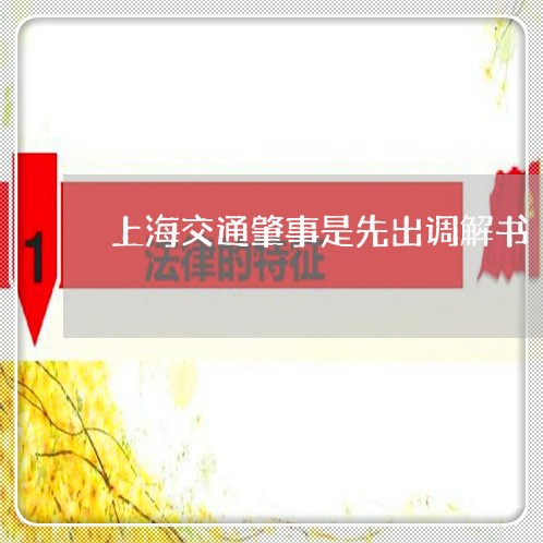上海交通肇事是先出调解书/2023031803818 上海交通肇事是先出调解书/2023031803818