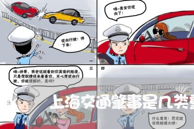 上海交通肇事是几类重点人口/2023040150393