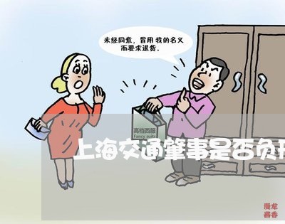 上海交通肇事是否负刑事责任/2023040104036