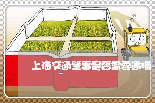 上海交通肇事是否需要逮捕/2023031806939 上海交通肇事是否需要逮捕/2023031806939