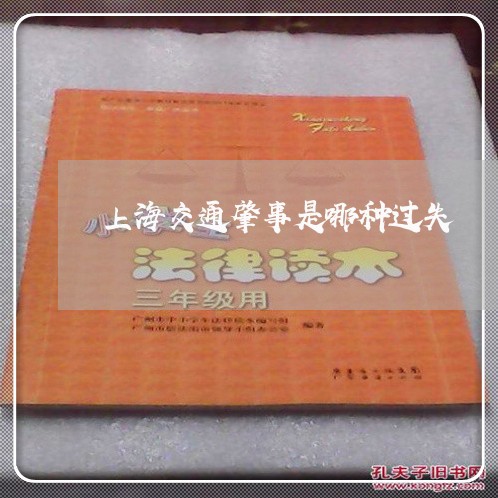 上海交通肇事是哪种过失/2023042224926