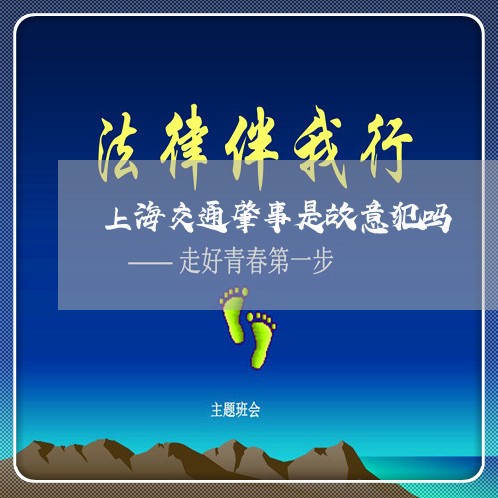 上海交通肇事是故意犯吗/2023022898281 上海交通肇事是故意犯吗/2023022898281